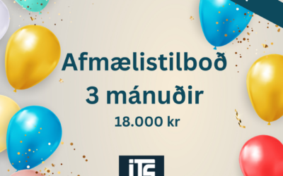 3 mánaða afmælistilboð